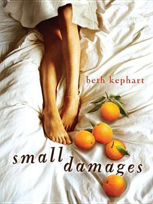 Book Review | Small Damages | Beth Kephart