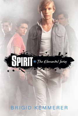 Book cover for Spirit by Brigid Kemmerer