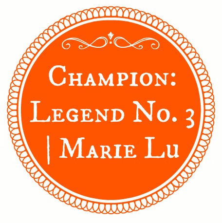 champion banner