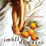 Book cover for Small Damages by Beth Kephart